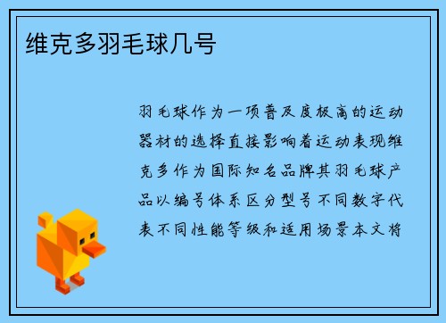 维克多羽毛球几号