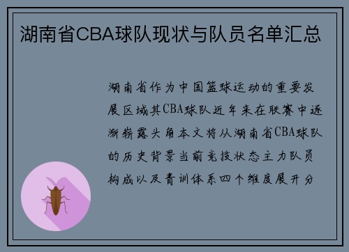 湖南省CBA球队现状与队员名单汇总
